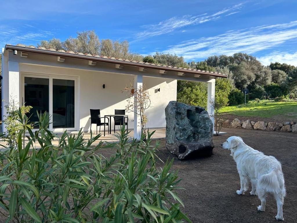 La Piana Holiday House Bassacutena Exterior photo